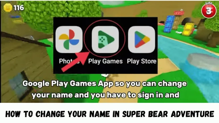 How To Change Your Name In Super Bear Adventure