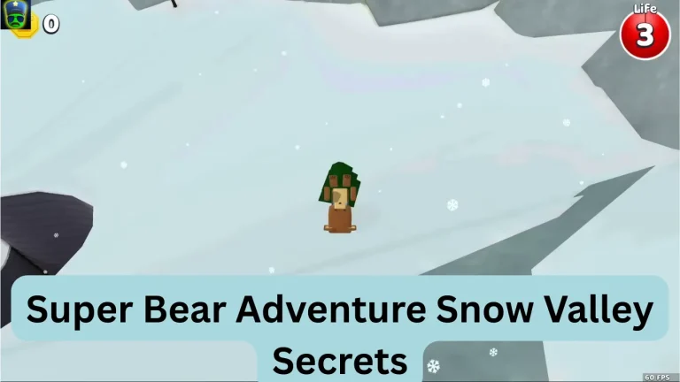 Super Bear Adventure Snow Valley Secrets